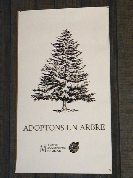 Adoptons un arbre